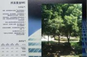 建筑貼膜品牌設(shè)計-建筑貼膜品牌設(shè)計方案