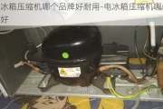 電冰箱壓縮機(jī)哪個(gè)品牌好耐用-電冰箱壓縮機(jī)哪個(gè)品牌好