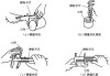 框架尺寸測量尺使用方法-框架尺寸測量尺