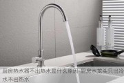 廚房熱水器不出熱水是什么原因-廚房水龍頭只出冷水不出熱水