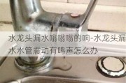 水龍頭漏水嗡嗡嗡的響-水龍頭漏水水管震動(dòng)有鳴聲怎么辦