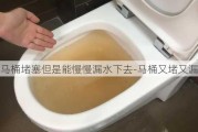 馬桶堵塞但是能慢慢漏水下去-馬桶又堵又漏