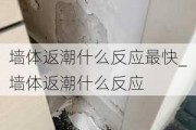 墻體返潮什么反應最快_墻體返潮什么反應