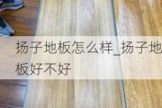 揚子地板怎么樣_揚子地板好不好