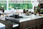 veneta cucine/威乃達(dá)整體櫥柜-威乃達(dá)櫥柜排名