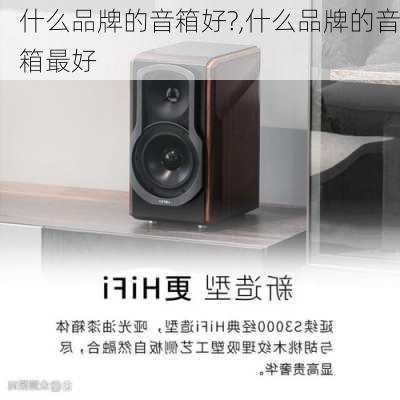 什么品牌的音箱好?,什么品牌的音箱最好