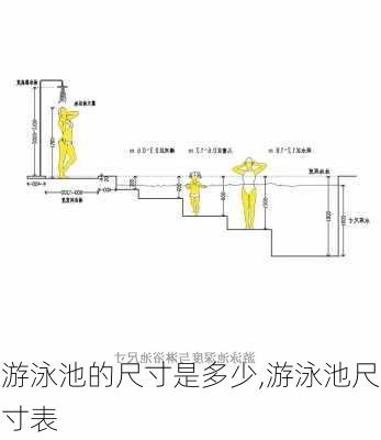 游泳池的尺寸是多少,游泳池尺寸表