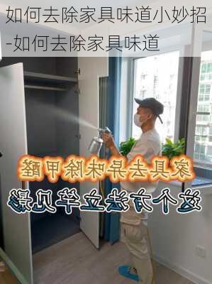 如何去除家具味道小妙招-如何去除家具味道