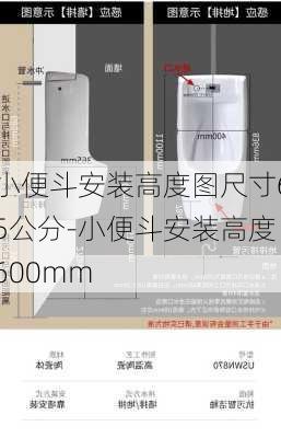 小便斗安裝高度圖尺寸65公分-小便斗安裝高度600mm