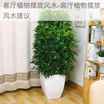 客廳植物擺放風(fēng)水-客廳植物擺放風(fēng)水建議