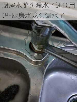 廚房水龍頭漏水了還能用嗎-廚房水龍頭漏水了