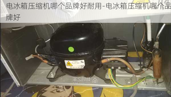 電冰箱壓縮機(jī)哪個品牌好耐用-電冰箱壓縮機(jī)哪個品牌好