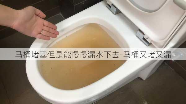 馬桶堵塞但是能慢慢漏水下去-馬桶又堵又漏