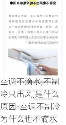 空調不滴水,不制冷只出風,是什么原因-空調不制冷為什么也不滴水