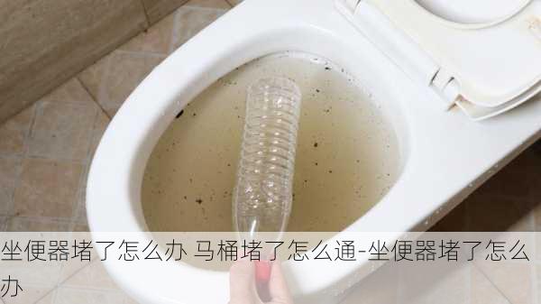 坐便器堵了怎么辦 馬桶堵了怎么通-坐便器堵了怎么辦