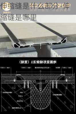 伸縮縫是什么部分-伸縮縫是哪里