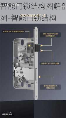智能門鎖結(jié)構(gòu)圖解剖圖-智能門鎖結(jié)構(gòu)