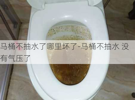 馬桶不抽水了哪里壞了-馬桶不抽水 沒有氣壓了