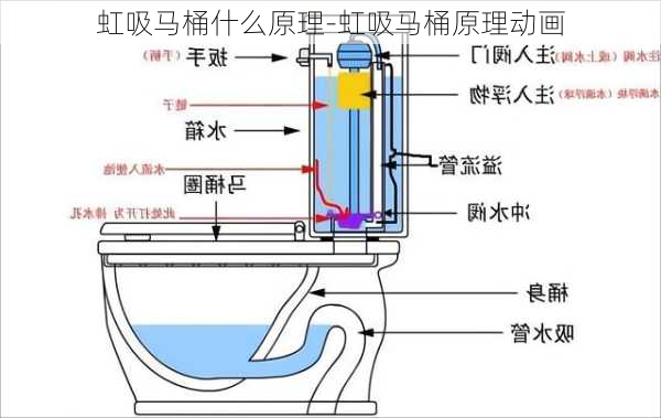 虹吸馬桶什么原理-虹吸馬桶原理動畫