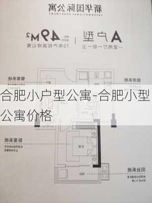 合肥小戶型公寓-合肥小型公寓價格